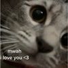 caitlynhahne05